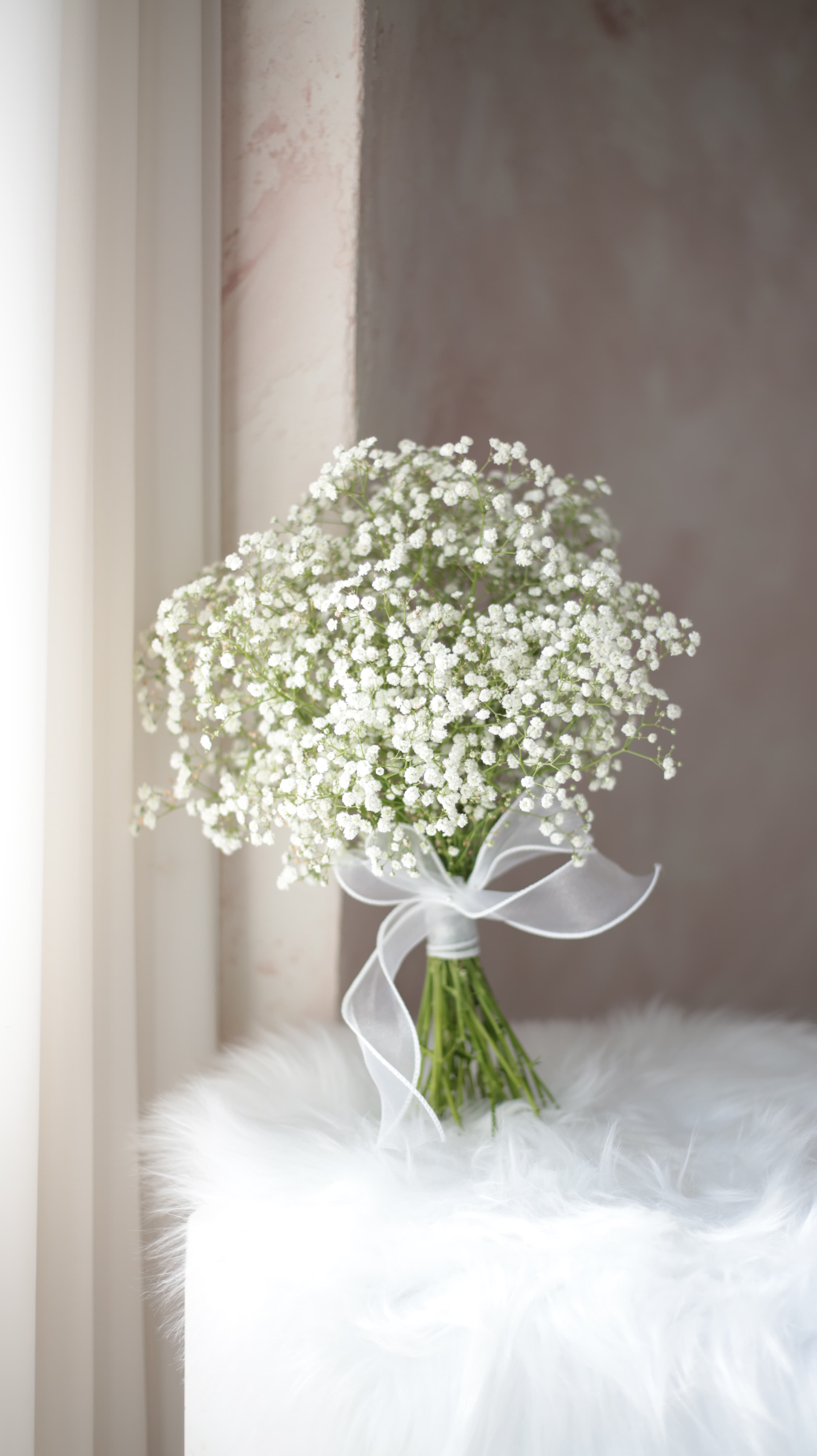 순백의 안개꽃 한 아름